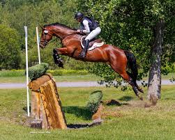 Image result for Butts Ash Badminton Club