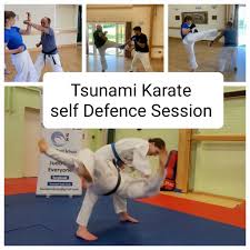 Image result for Tsunami Karate Club