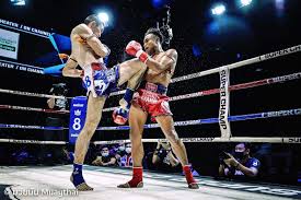Image result for Enfield T'ai Tsung Chinese Boxing