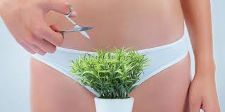 Image result for schamhaar