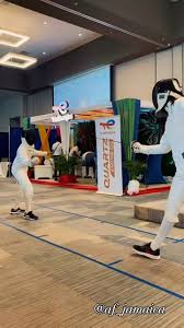 Image result for Kingston Fencing Club
