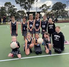Image result for Meon Netball Club