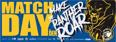 Image result for Hamilton Panthers Association Football Club