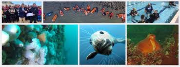 Image result for East Cheshire Sub-Aqua Club