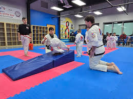 Image result for Valentin Karate