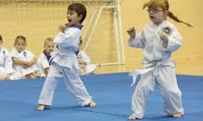 Image result for Torbay Taekwondo Schools