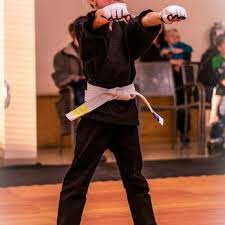 Image result for Action Karate