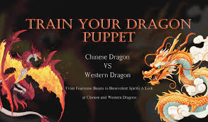 Image result for BARNET and WHETSTONE CHANGQUAN FLYING DRAGON