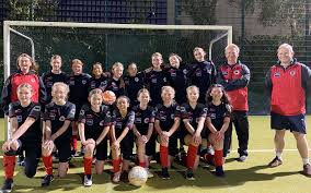 Image result for Beecholme Fc