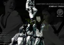 Image result for Kidderminster Tae Kwon Do Tigers