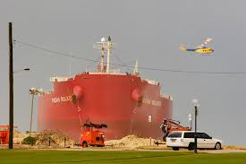 Image result for Pasha bulker