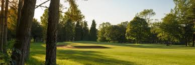 Image result for Burford Golf Club