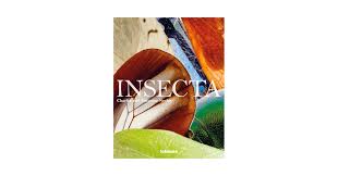 Attēlu rezultāti vaicājumam “Insecta”