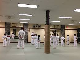 Image result for Springwood Karate