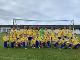 Image result for Llantwit Lions
