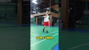 Image result for Cobra Badminton Club