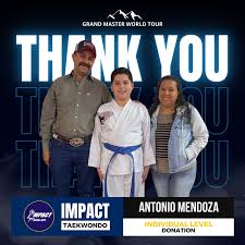 Image result for Impact Martial Arts