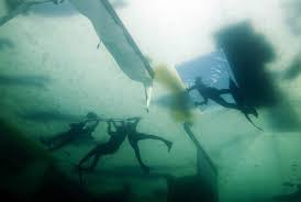 Image result for FXU Underwater Hockey