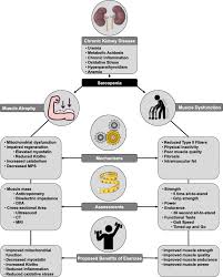 Image result for Peak Performance Ckd, Horley