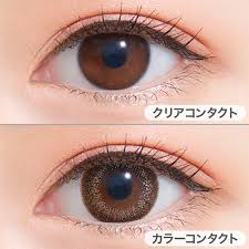 「ネオサイトワンデーシエル」の画像検索結果