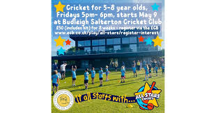 Image result for Budleigh Salterton Cricket Club