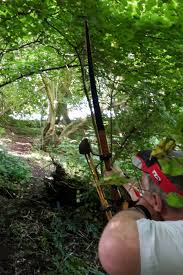 Image result for Lyme Valley Archers