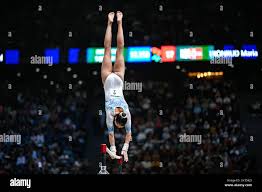 Image result for Asymmetrix Gymnastics Club