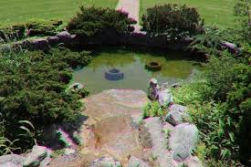 Image result for Thorn Park L T C