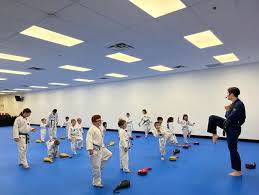 Image result for Kidderminster Tae Kwon Do Tigers