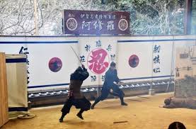 Image result for Hertfordshire Iga Ryu Ninjutsu