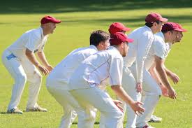 Image result for Alne Cricket Club