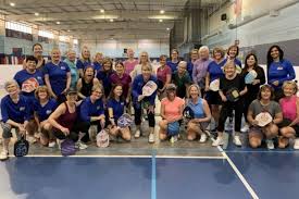 Image result for Link Ladies Badminton Club