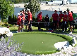 Image result for World Minigolf Sport Federation