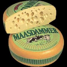 Image result for maasdammer