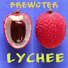 Image result for Litchi chinensis