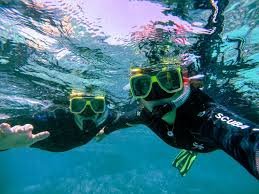 Image result for Darwen Snorkelling Club