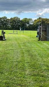 Image result for Newdigate Clays
