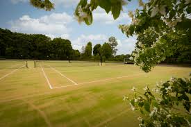 Image result for Barn Elms Rowing Club