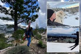 Image result for Peak Performance Ckd, Horley