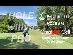 Image result for Dolphina Gc