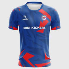 Image result for Byfleet Village Football Club