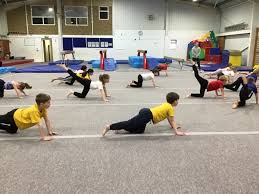 Image result for Sandown Sports Club