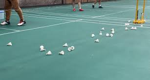 Image result for Stanford Le Hope Jnr Badminton Club