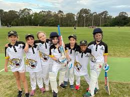 Image result for Gilberdyke Cricket Club