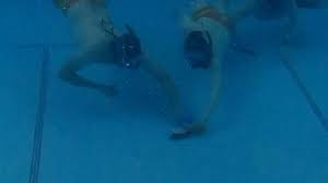 Image result for Worcester Divers Octopush Club