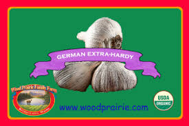 Afbeeldingsresultaat voor kosmonaut volkov 68D tomato