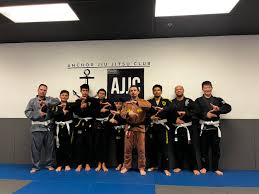 Image result for Basingstoke Aiuchi jiu Jitsu Club