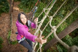 Image result for Go Ape! Moors Valley