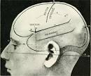 Chapter I. The Head And Neck