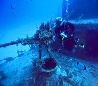 Image result for Abyss Dive Club